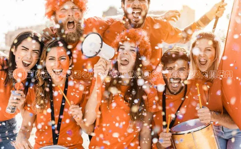 28圈注册网页版雷柏科技青岛足球运动员回国名单: 这些顶级球员将归国加盟国内俱乐部