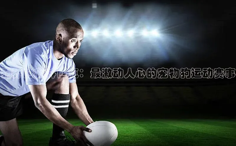 狗界的奥林匹克：最激动人心的宠物狗运动赛事