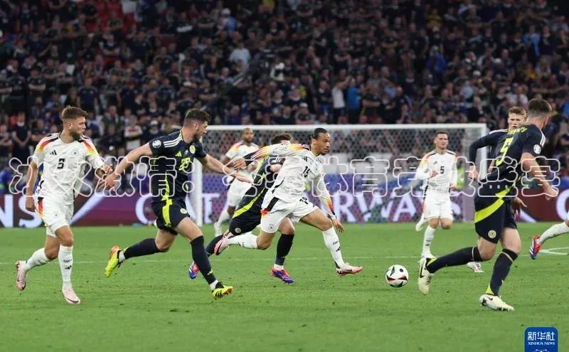 冰火激情：冬季体育竞技盛宴