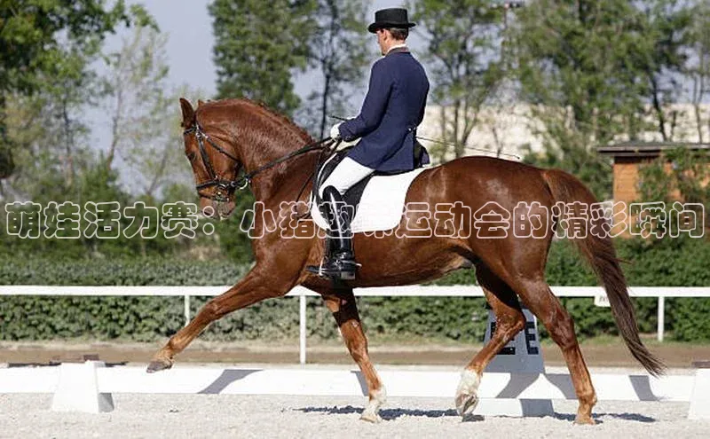 加拿大28圈注册链接