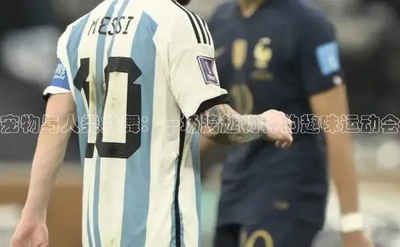 加拿大28圈合法吗