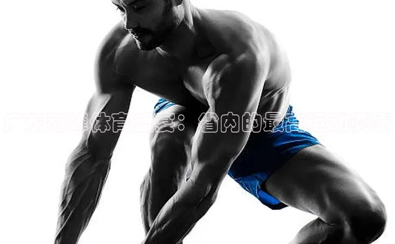 加拿大28圈下载