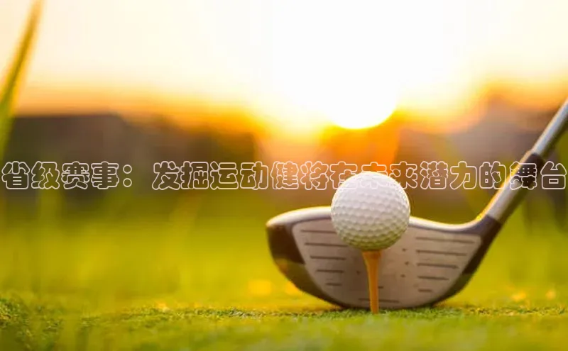 能玩加拿大28的网址