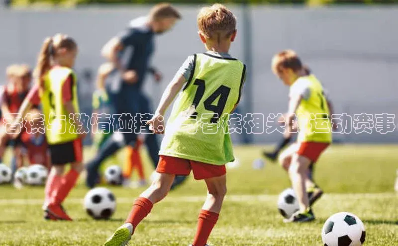 加拿大28圈预测准确率高的