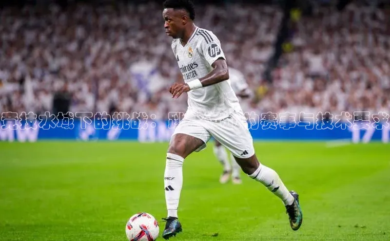 竞技水域下的挑战：跳水运动的赛事与技术要求